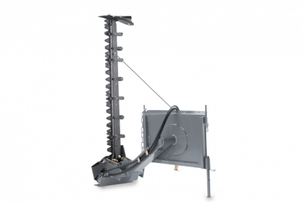 Divnažu krūmgriezis